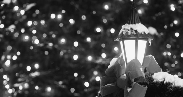 Festive Holiday Lights Tour